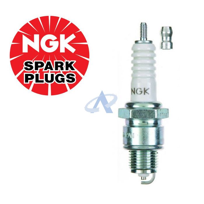 NGK BP8HS (2630) Bougie d'allumage