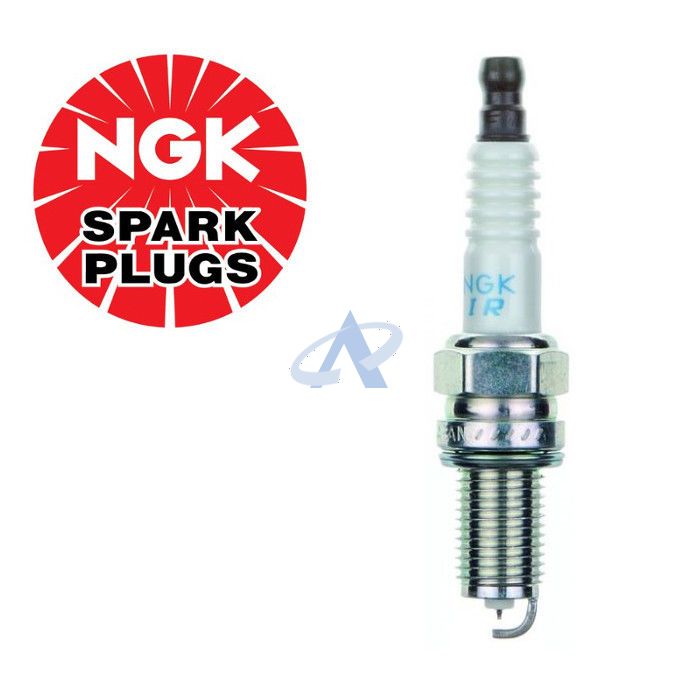 NGK IKR6G11 (7980) Bougie d'allumage