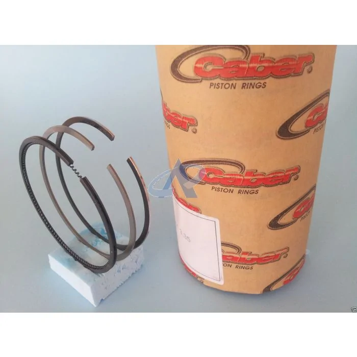 Jeu de Segments Piston pour HATZ 2G40 Moteur (92.5mm) [#01248701]