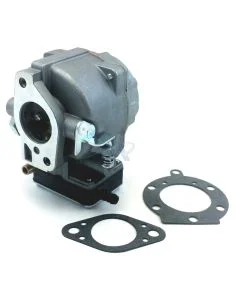 Carburateur pour BRIGGS &amp; STRATTON Modèles [693480, 495181, 499306, 394505]