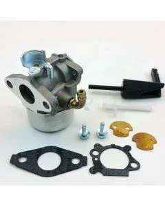 Carburateur pour BRIGGS & STRATTON [798653 697354 790290 791077 698860 795069]