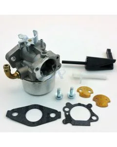 Carburateur pour BRIGGS &amp; STRATTON [798653 697354 790290 791077 698860 795069]