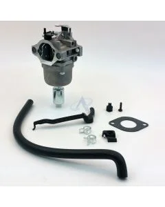 Carburateur pour BRIGGS & STRATTON Moteurs [#791858, #792358, #793224]