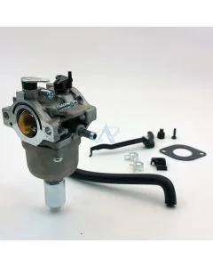 Carburateur pour BRIGGS &amp; STRATTON Moteurs [#791858, #792358, #793224]