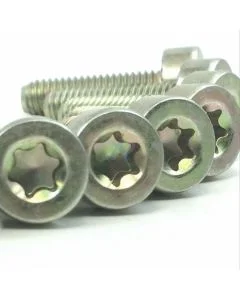 T27 Torx 5mm x 18mm Vis cylindriques IS-M5x18 pour STIHL [#90223411010] - 10pcs