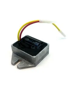 Régulateur de Tension Automatique pour BRIGGS &amp; STRATTON (5-9 Amp) [#698315]