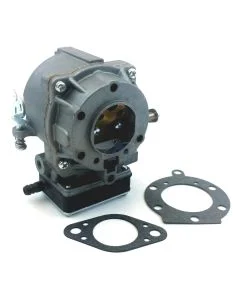 Carburateur pour BRIGGS & STRATTON Modèles [693480, 495181, 499306, 394505]